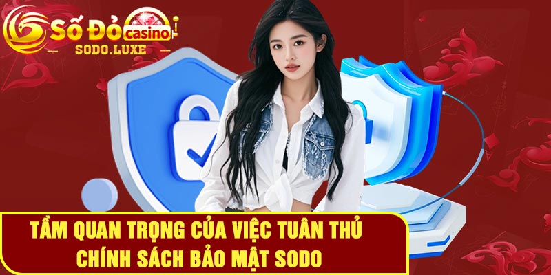 Tầm quan trọng của việc tuân thủ chính sách bảo mật Sodo